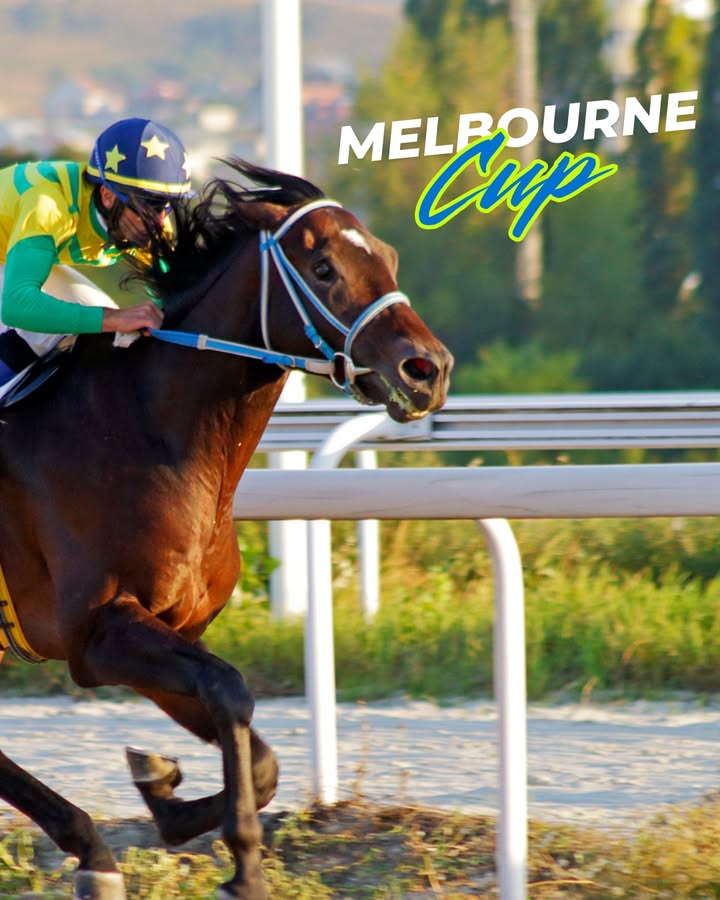 Featured image for “Melbourne Cup Celebration: Lunch Specials, Races & Best Dressed at Ourimbah RSL”